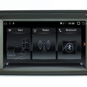 Ford Kuga Multimedia